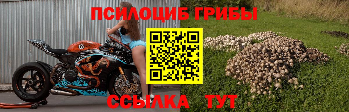 Златоуст  как найти закладки  Вход с VPN  Галлюциногенные грибы мухоморы 